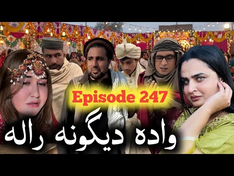 Wada Degona Tayar Sho ll Khpala Weena Drama Episode 247 By Charsadda Vines Director Sadiq Khan 2026