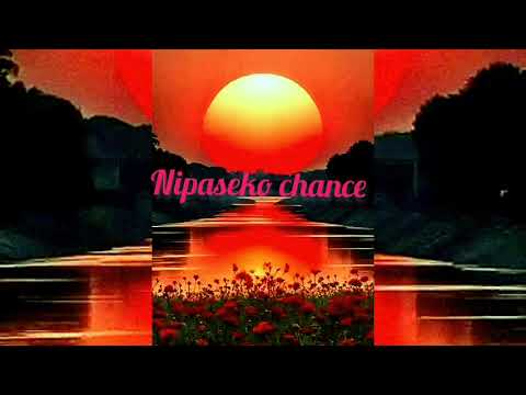 Nipaseko chance (official-video) download MP4. Mp3