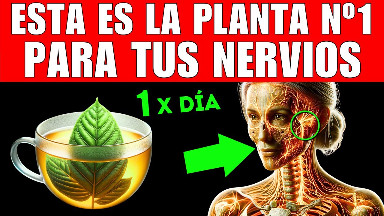 PLANTA #1 que MEJORA tus NERVIOS (CÓMO TOMARLA)