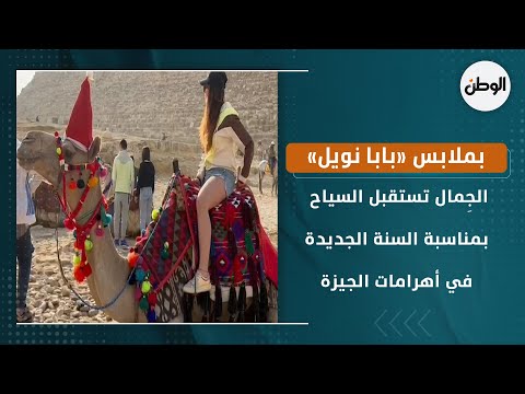 بملابس «بابا نويل».. الجِمال تستقبل السياح بمناسبة السنة الجديدة في أهرامات الجيزة