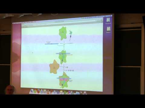 Ahern's BB 350 at OSU - 20. Translation II