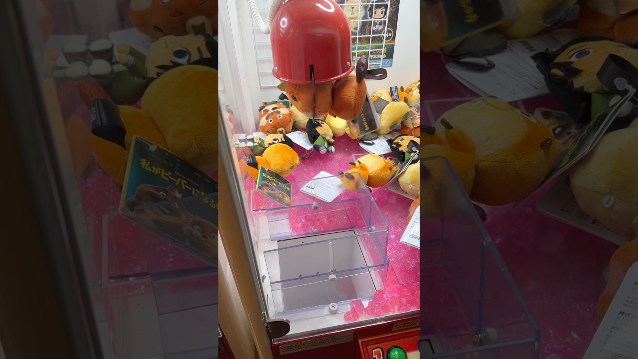 まさかの😭😭😭😭😭😭😭