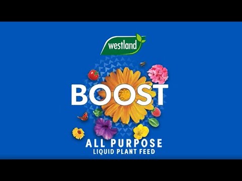 boost Video