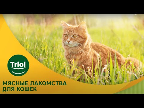 Миниатюра изображения товара Лакомство для кошек Triol Нежные сердечки из ягненка с треской / 20171018 (40г)