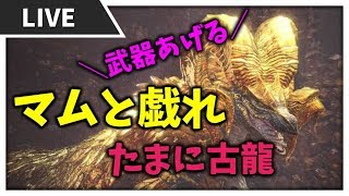 【MHW】マム・タロトからガイラアックス・麻痺かガイラアックス・角ぶんどる！たまに古龍とか！初見歓迎！マルチ募集★【女性実況／モンスターハンターワールド】