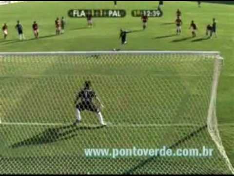 BRASILEIRO 2008 - FLAMENGO 5 X 2 PALMEIRAS - GOLS