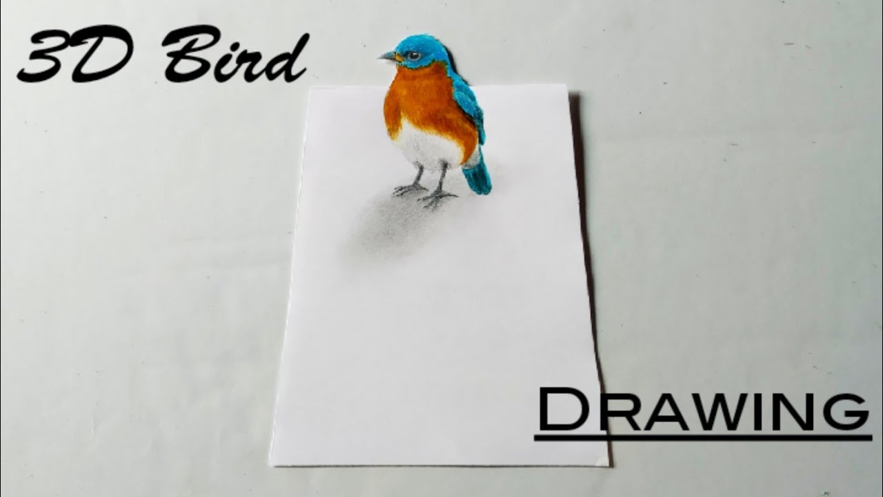 How To Draw 3D Bird Drawing || 3D Drawing || Colored Pencils Drawing
