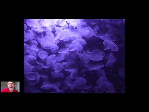 Introductory Fluid Mechanics L1 p2 - Why study fluid mechanics?