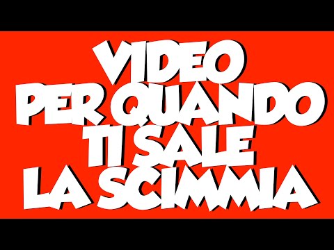 VIDEO PER QUANDO TI SALE LA SCIMMIA