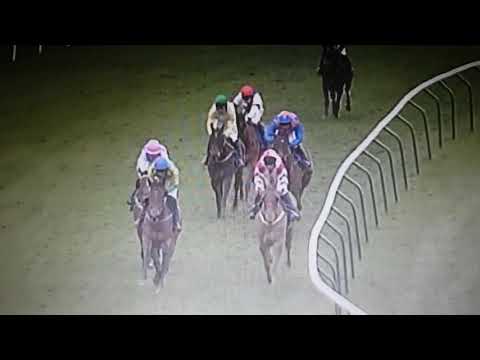 Masterminded 2008 Queen Mother Champion Chase Cheltenham