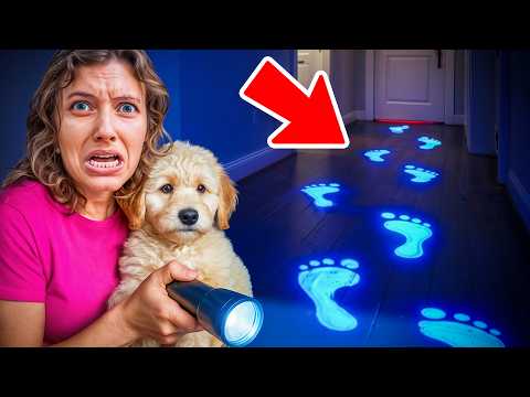 MY PUPPY FOUND FOOTPRINTS... (Someone Broke Into My House)