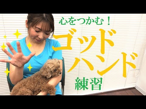 犬はどこを撫でられるのが好きですか?