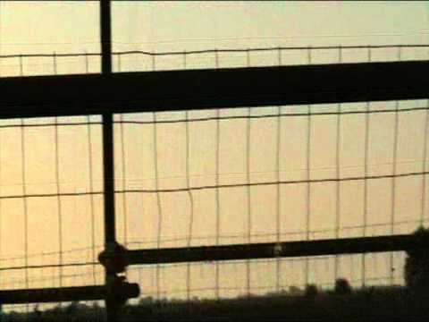 Noul tarc din Cardon 1