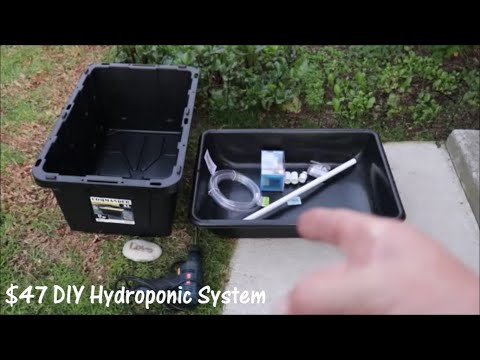 Time to Start the $47 Lowe's DIY Hydroponic System