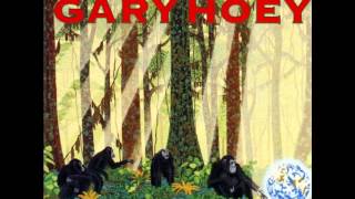 Gary Hoey Akkoorden