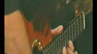 Pat Metheny &amp; Charlie Haden -Walts for ruth