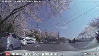 preview picture of video '広島の風景2015春 花見「黄金山の桜1/5車載カメラ登り」03.30 Scenery of Hiroshima,Mt-Ougon Cherry blossom,On board camera'