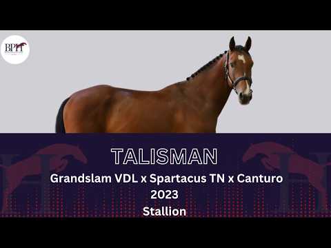 Talisman