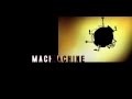 Cyril Le Levreur - "Machine" - (a.k.a. Ruckus Roboticus "Everlasting Ghettoblasting Gobstopper")