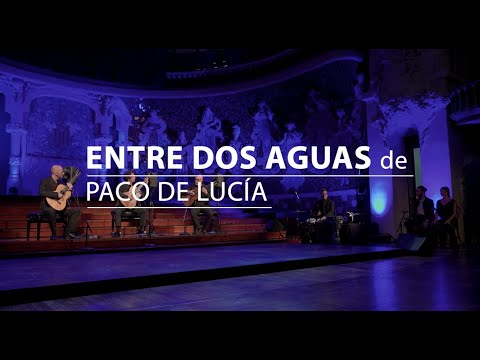 Homenaje a Paco de Lucía 
