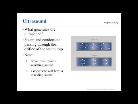UE Systems Complimentary Webinar - Steam Trap Testing with Ultrasound
