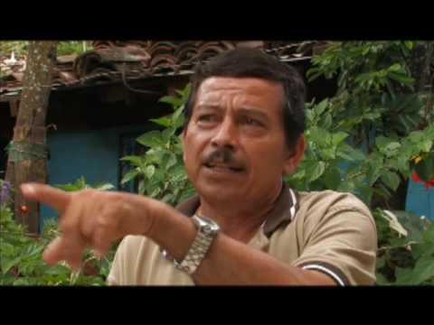 Memoria De Las Flores