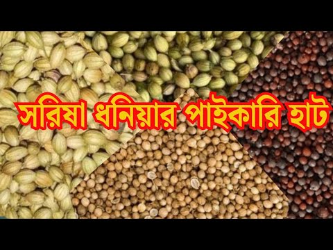 সরিষা ধনিয়ার পাইকারি বাজার | বস্তা বস্তা মাল সরাসরি কৃষকদের কাছ থেকে কিনুন | Mustard | Sorisa