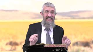 מסכת חולין דף כג - 8 דקות של לומדות ועמקות בדרך הלימוד הישיבתית [Hullin 23]