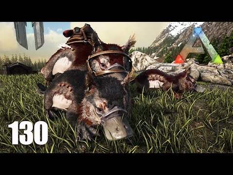 FILHOTES DE MAEWING e Fazendo a ROUPA DE MERGULHO -  ARK Ragnarok - Ep 130