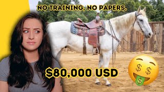 CRINGE-WORTHY Horse Prices Are Driving Me INSANE!