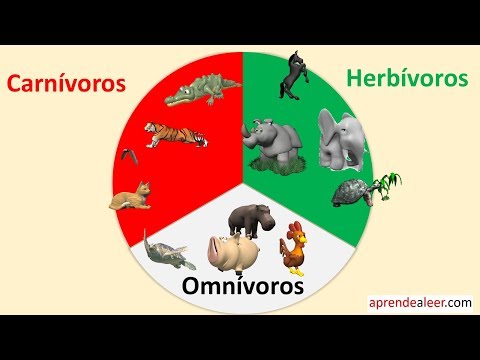 , title : 'Animales carnivoros herbivoros y omnivoros para niños'