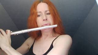 Want Your Body - Julian Lennon cover - flute