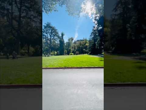 Villa Montalvo Lookout Point - USA