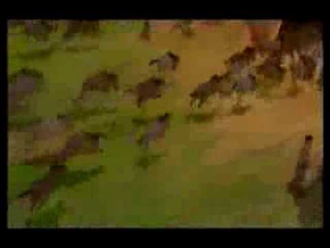 Kiara in Wonderland part 21 - Kiara's Flight/The Finale