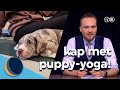 Puppy-yoga is helemaal niet zo schattig | De Avondshow met Arjen Lubach (S5)