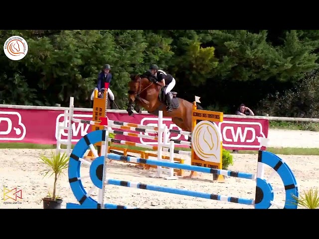 Magnifique hongre SF