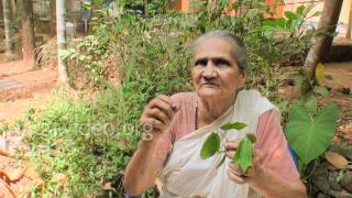 Herbal healer for Rheumatics - Vatham Kolli 