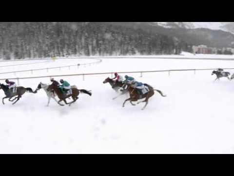 2016.02.14 H.H. Sheikh Zayed Bin Sultan Al Nahyan Listed Cup (SWI) - Nil Kamla