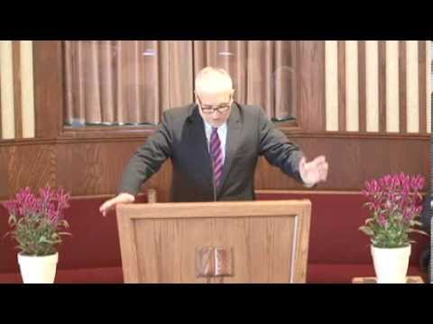 Radisa Antic -- Um (1 Deo)