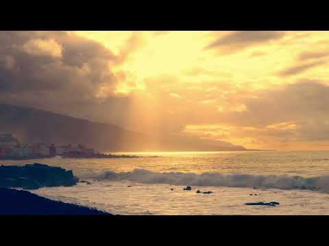 Nature Video 30 Seconds|WhatsApp Status Video|Nature Background Videos