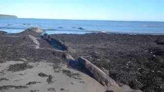 After the Hurricane 2016