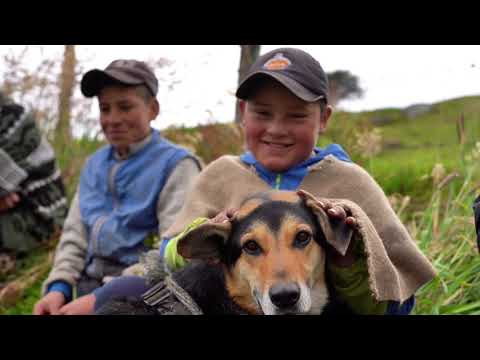 #Turismo | 🇮🇹 ¡Ven y conoce Concepción, Santander!✨