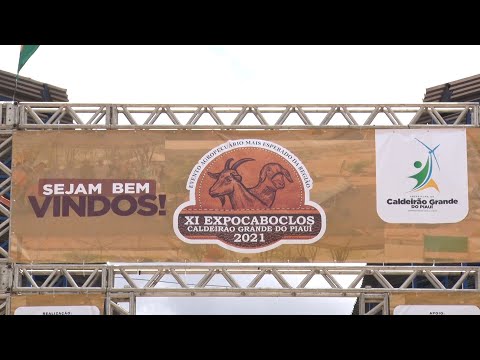 XI edição da feira de caprinos e ovinos Expocaboclos em Caldeirão Grande do Piauí 20 11 2021