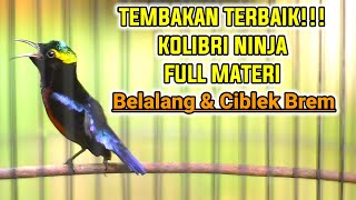 Download lagu SEKALI PUTAR KONIN APAPUN PASTI GACOR IKUT BONGKAR ISIAN BELALANG EMAS DAN NGEBREN mp3