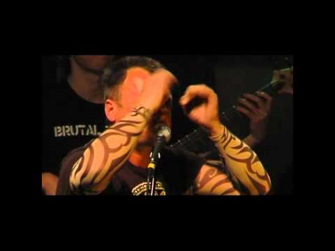 Bix ir kapela - kiaula