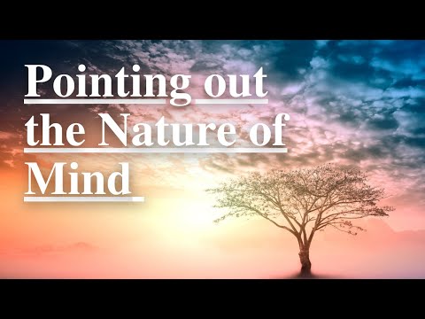 POINTING OUT INSTRUCTIONS for NON DUALITY | No Self Meditation