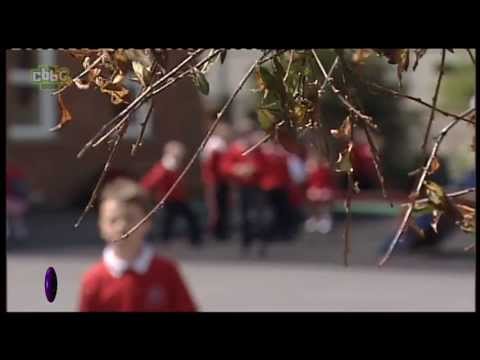 Newsround report about complaints of BBC sexism