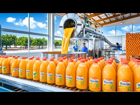 How Minute Maid Orange is Made in a Factory | Full Fruit Juice Documentary