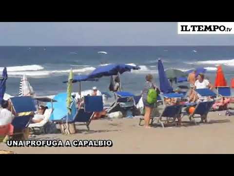 Da Capalbio con fetore