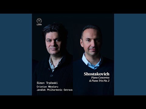 Piano Trio No. 2 in E Minor, Op. 67: I. Andante